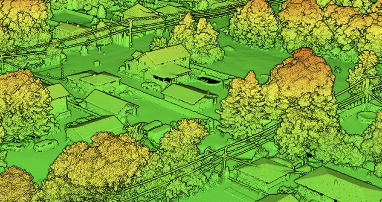 LiDAR point cloud of a neighborhood with tree canopy
